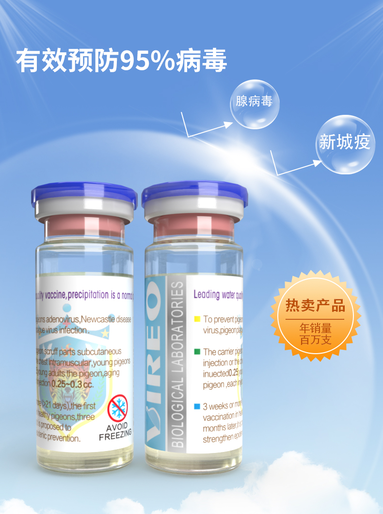 新城疫基因工程灭活水剂信鸽疫苗 科技护航信鸽健康——中信网鸽业大全推荐